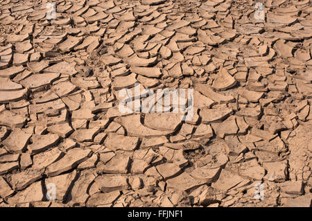 Dikni qanday yirtish kerak