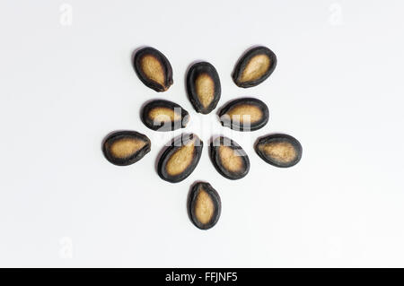 Watermelon seeds on white background. Stock Photo