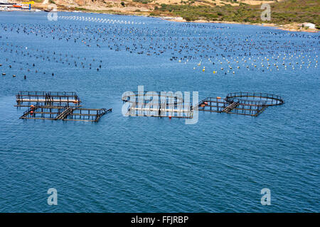 Fish and mussel farm in the the coast Stock Photo