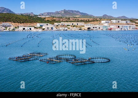 Fish and mussel farm in the the coast Stock Photo