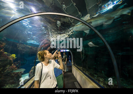 Visitors in underwater tunnel of Barcelona Aquarium, Port Vell harbor ...