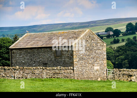 Stone barn, Carlton, Yorkshire Dales, England Stock Photo