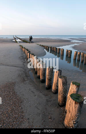 Strand, Buhne, Domburg, Nordsee-Küste, Provinz Seeland, Niederlande | beach, groyne, Domburg, North Sea Coast, Zeeland, Netherla Stock Photo