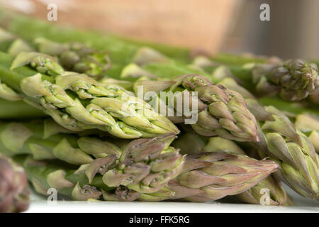 asparagus spears close up on white plate Stock Photo