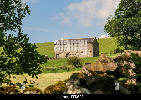 Barn Carlton, Yorkshire, England Stock Photo