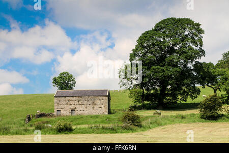 Barn, Carlton, Yorkshire, England Stock Photo