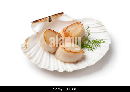 Seared scallops served in a shell with dill on white background Stock Photo