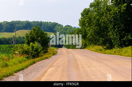 Empty brown rural country dirt road leading into green forested hill and trees, bordered by tall grass and gravel shoulder.