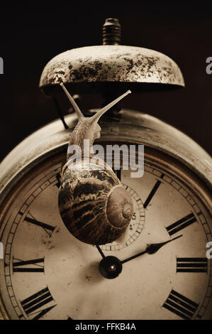 snail on an old and rusty alarm clock Stock Photo - Alamy