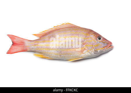 Golden snapper hi-res stock photography and images - Alamy