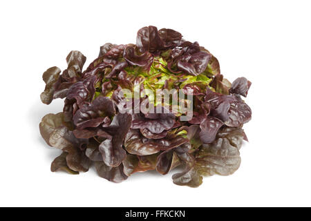 Fresh Oak leaf lettuce on white background Stock Photo