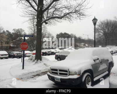 Annandale, VA, USAA. 15th Feb, 2016. Snow is once again falling across Central Virginia on Monday, 15 February 2016. Many area schools are already closed due to the holiday; others that were open have changed their schedules. The National Weather Service in Wakefield says light snow will continue to fall for a couple of hours then transition to sleet and freezing rain before turning into all rain by late Monday afternoon. © Probal Rashid/ZUMA Wire/Alamy Live News Stock Photo