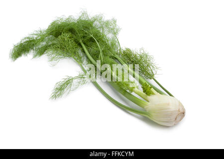 Fresh fennel bulb with green leaves on white background Stock Photo