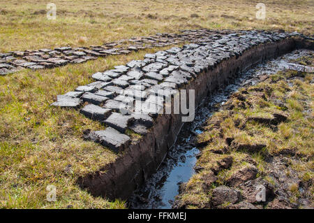 Peat (turf) cut and left to dry on a wetland in the Scottish Highlands Stock Photo