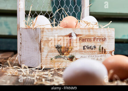 Fresh farm eggs with straw in a wooden box in front of a green window Stock Photo