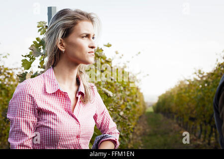 Young woman harvesting grapes in vineyard Stock Photo