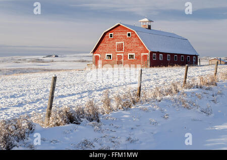 Alberta, Canada; View Of An Old Barn Through A Barbed Wire 