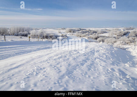 A winter wonderland scene of snow and hoar frost, stretching as far as the Rocky mountains. Foothills, Calgary, Alberta, Canada. Stock Photo
