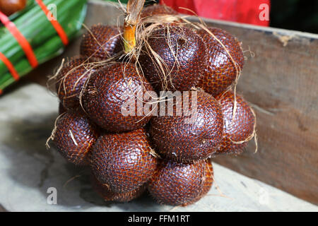 A bundle of salak, so called Snake Fruit, in Indonesia Stock Photo