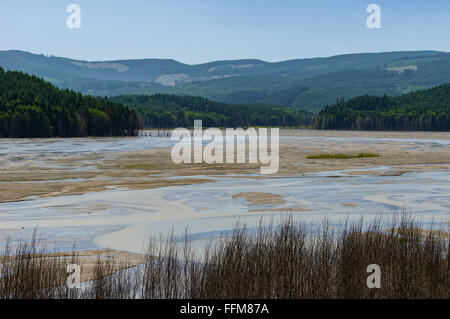 Wetlands swamp created by the sediment retention dam on North Fork Toutle River to catch volcanic ash from Mount St Helens.  Toutle, Washington Stock Photo