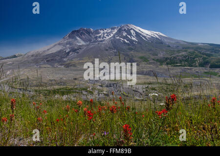 View of Mount St Helens showing the remains of the mountain after the 1980 eruption. Stock Photo