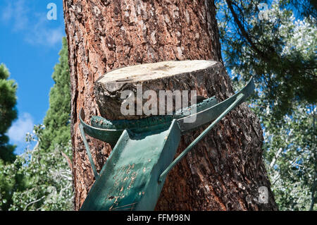 Metallic beam to prop up a tree in a public garden Stock Photo