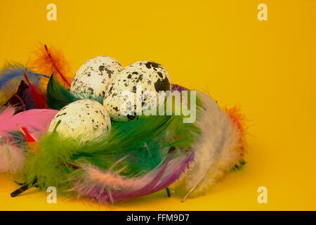 Easter decoration,three big,speckled eggs in a nest with colorful feathers isolated yellow. Close,horizontal view. Stock Photo