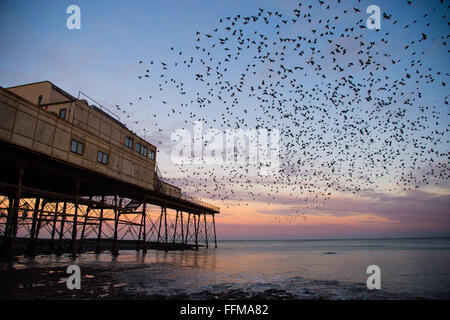 Aberystwyth, Wales, UK. 16th February, 2016.  UK Weather: After the coldest night of the year so far this winter, with temperatures dropping in places to minus 6ºc, tens of thousands of starlings fill the sky as they  emerge en-masse at dawn from their overnight roost under the pier in  Aberystwyth Wales    Credit:  keith morris/Alamy Live News Stock Photo