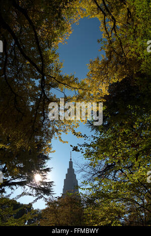 Shinjuku Gyoen National Garden, Tokyo, Japan, Asia. City park, fall season, autumn foliage, trees. Japanese culture, skyscraper Stock Photo