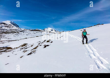 Female 50-60 snowshoeing winter French Pyrenees Stock Photo