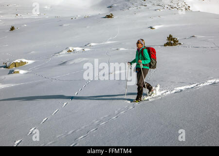 Female figure snowshoeing in Andorra snow covered mountains Stock Photo