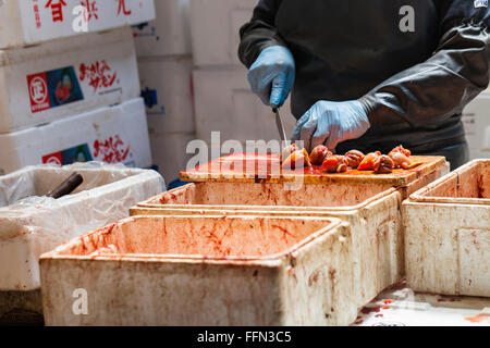 TOKYO - MAY 11: Shoppers visit Tsukiji Fish Market on May 11, 2014 in Tokyo. It is the biggest wholesale fish and seafood market Stock Photo