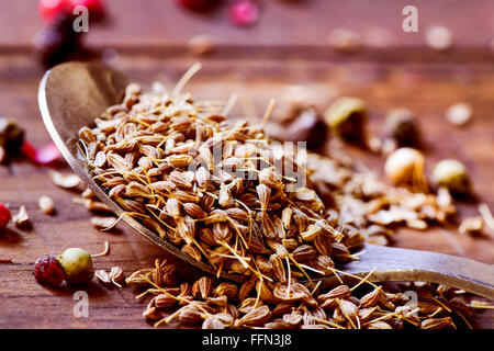 closeup of a spoon full of anise seeds on a rustic wooden table Stock Photo