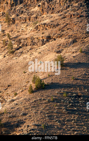 High desert canyon slope along Scout Camp Trail, Steelhead Falls Wilderness Study Area, Deschutes Wild and Scenic River, Oregon Stock Photo