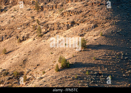 High desert canyon slope along Scout Camp Trail, Steelhead Falls Wilderness Study Area, Deschutes Wild and Scenic River, Oregon Stock Photo