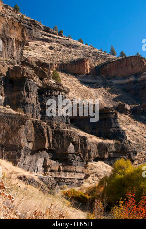 Deschutes River canyon from Scout Camp Trail, Steelhead Falls Wilderness Study Area, Deschutes Wild and Scenic River, Oregon Stock Photo