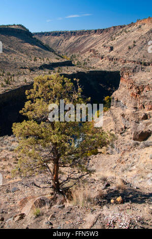 Deschutes River canyon from Scout Camp Trail, Steelhead Falls Wilderness Study Area, Deschutes Wild and Scenic River, Oregon Stock Photo