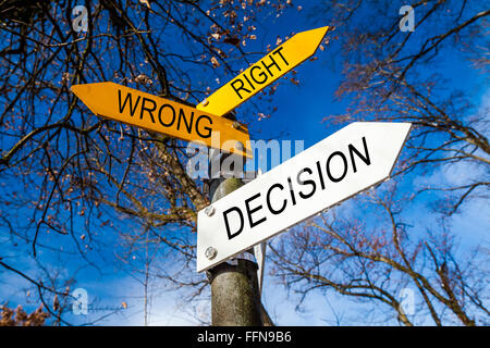 Yellow and white decision signs on a tree Stock Photo