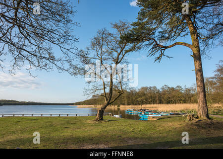 Ormesby Little Broad, viewed from Filby Bridge, Norfolk Stock Photo