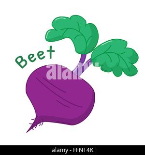 Isolated icon of raw beet with name Stock Vector