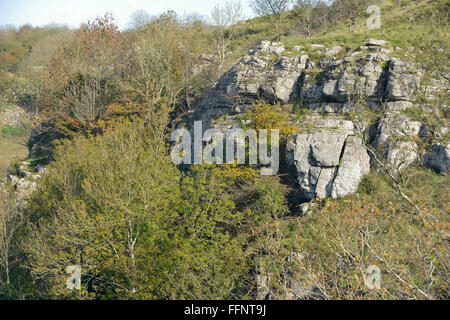 Limestone Crags among Trees Cheddar Gorge, Mendip Hills, Somerset Stock Photo
