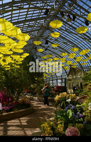 Yellow umbrellas hang from the ceiling during the 2015 Spring Flower Show at the Garfield Park Conservatory in Chicago. Stock Photo