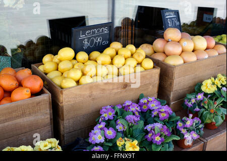 Lemons, oranges, grapefruits and flowers for sale in a produce market Stock Photo
