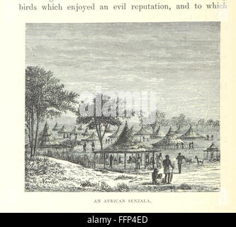 12 of 'From Benguella to the territory of Yacca. Description of a journey into Central and West Africa ... Translated by Alfre Stock Photo