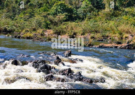 Mountain Pine Ridge Forest Reserve in Belize Stock Photo