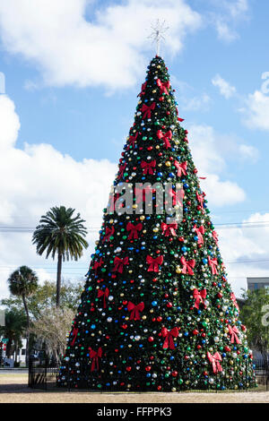 Florida South,Ocala,Downtown Square,giant Christmas tree,FL151214002 Stock Photo