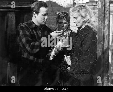 ON THE WATERFRONT, 1954. /nMarlon Brando and Eve Marie Saint running ...