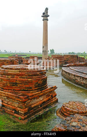 Ashoka pillar , Kolhua , Vaishali , Bihar , India Stock Photo