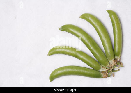 Vegetable , Green Pea pods Pisum sativum arranged at right side bottom of white background Stock Photo