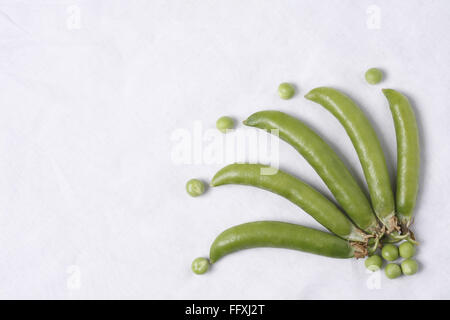 Vegetable , Green Pea pods Pisum sativum with unpeel peas on white background Stock Photo
